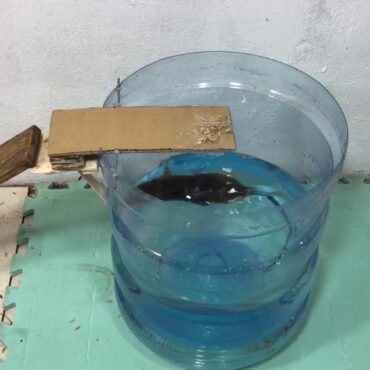 Мышеловка из аквариума с водой